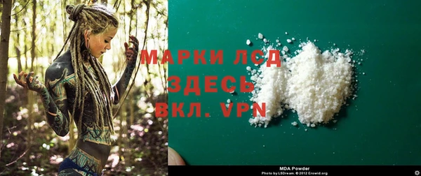 PSILOCYBIN Липки