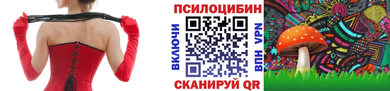 Галлюциногенные грибы мицелий  Луга 