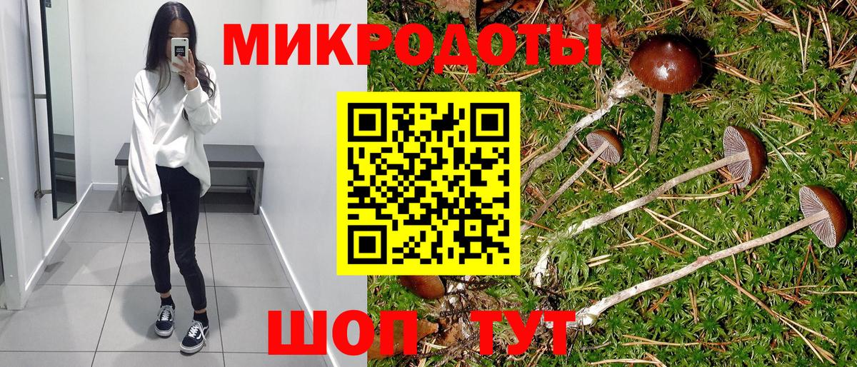 Галлюциногенные грибы ЛСД Луга