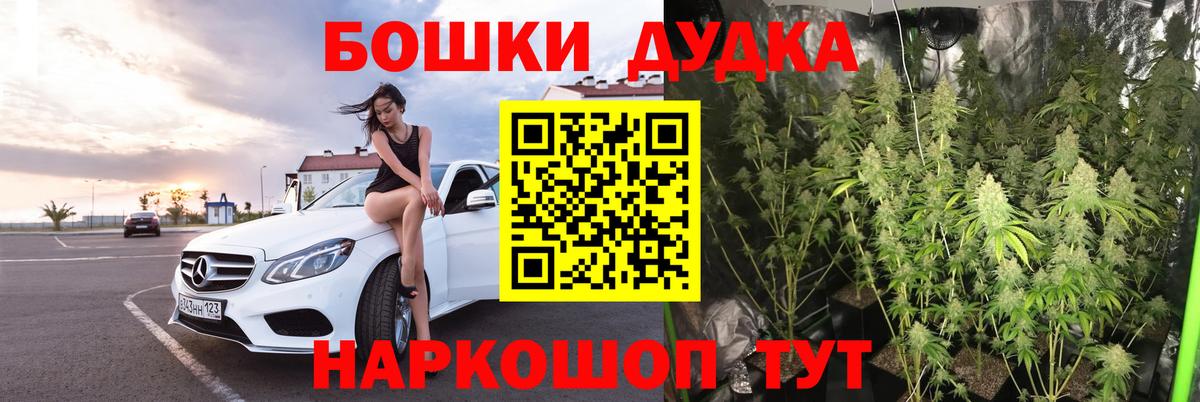 Луга  Конопля THC 21%  МАРИХУАНА Amnesia  Вход с VPN 